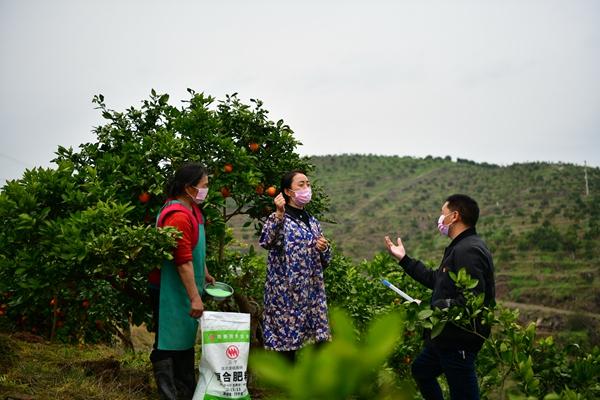 广安区市场监督管理局最新招聘概览